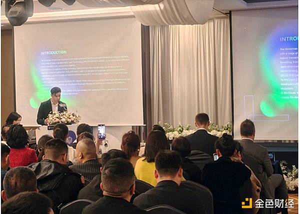 山寨币狂欢：这些潜力币种正引发市场热议